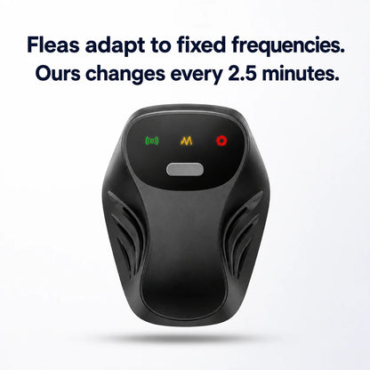 Fleas Electric Device