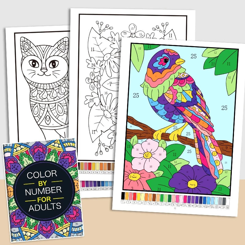 Color By Number Book - 2nd Edition
