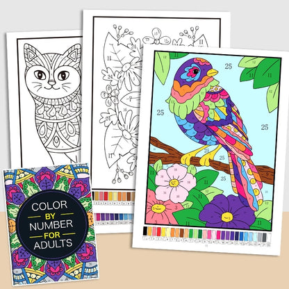 Color By Number Book - 2nd Edition