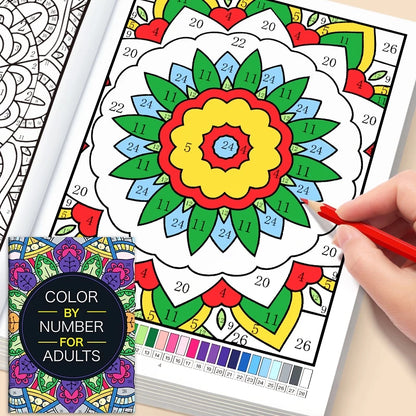 Color By Number Book - 2nd Edition