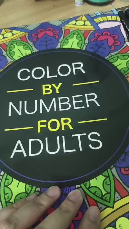 Color By Number Book - 2nd Edition
